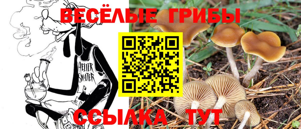 Псилоцибиновые грибы Psilocybine cubensis  Вход с VPN  Десногорск 